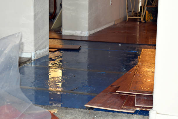 Professional Water Extraction technician working in French Camp, CA